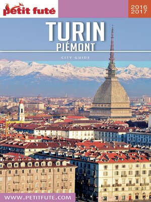 cover image of TURIN / PIÉMONT 2016/2017 Petit Futé